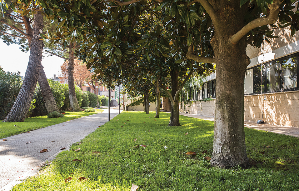 Nuova-Fenice-giardino-2