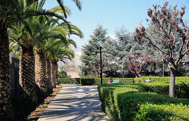 foto-rssa-rssd-nuova-fenice-giardino