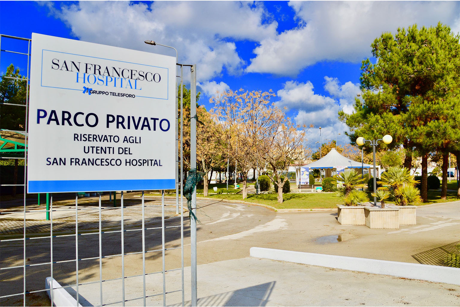 san-francesco_0016_142721159_1834121416737554_4821760260910837722_n