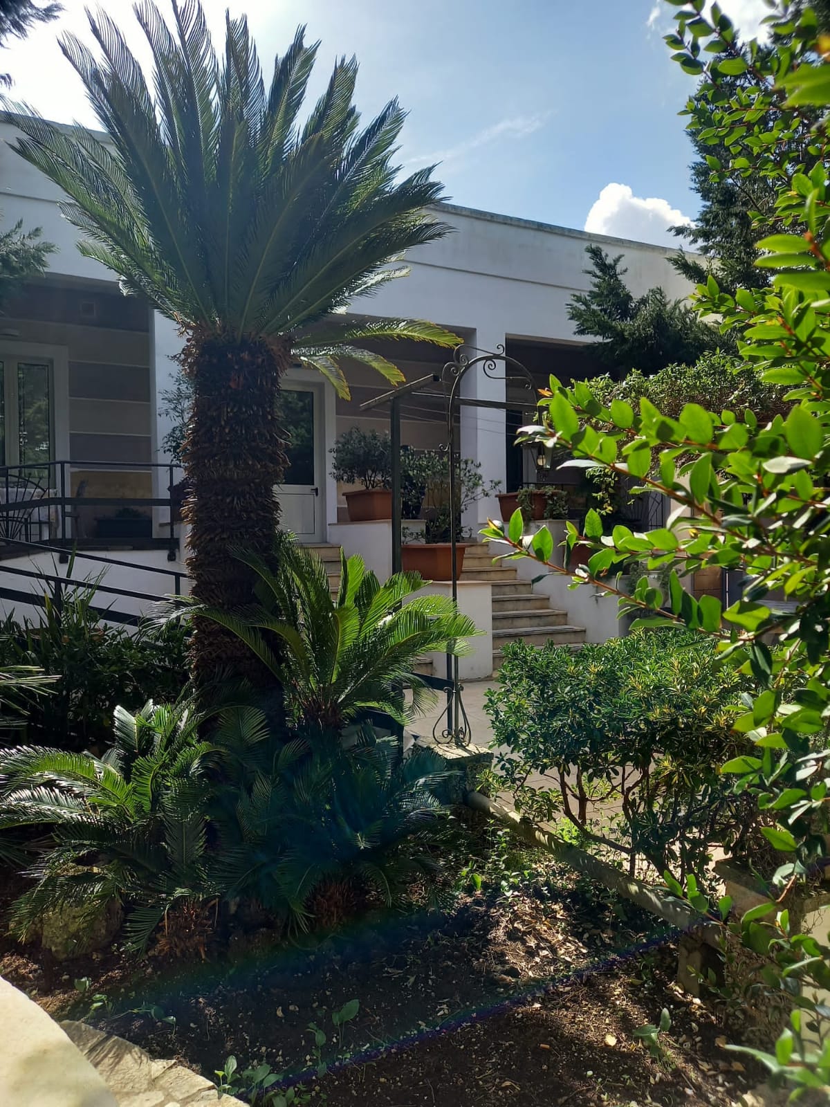 3Comunità San Giorgio Santa Cesarea Terme